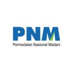 logo pt permodalan nasional madani (pnm)