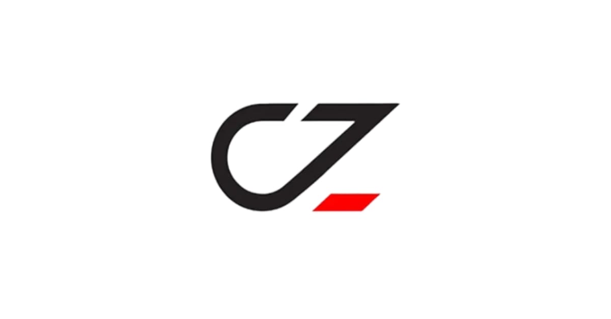 logo pt cheng zhan wang