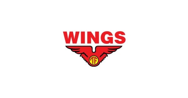 Salesman di PT Sayap Mas Utama (Wings)