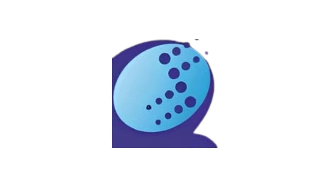 PT Quansheng Technology Industry Indonesia