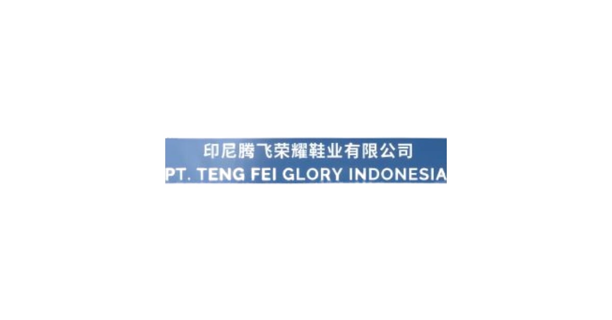 PT Teng Fei Glori Indonesia