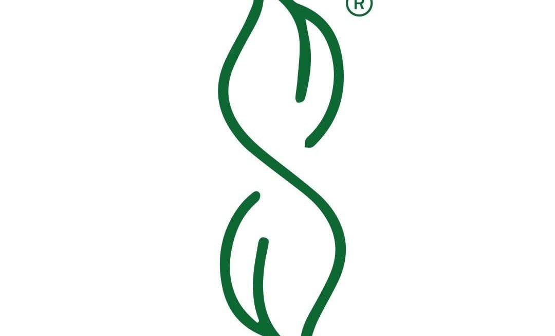 Logo sanesburgerandcoffe